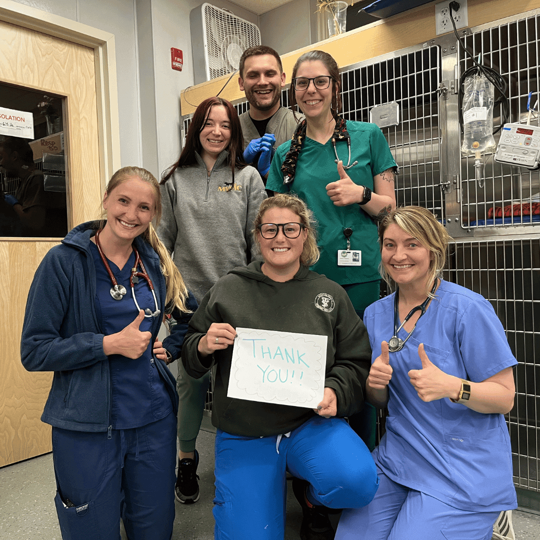 Team of veterinary professionals smiling and holding a 'Thank you' sign