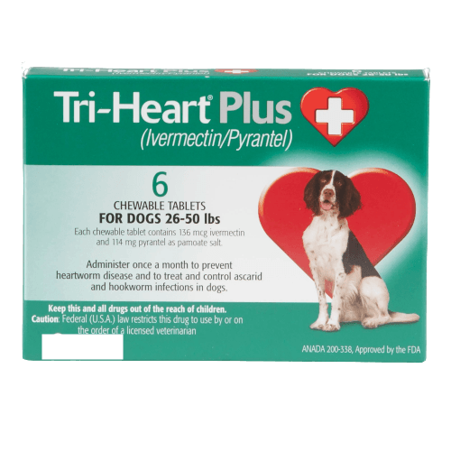 TriHeart Plus for Dogs Koala Health
