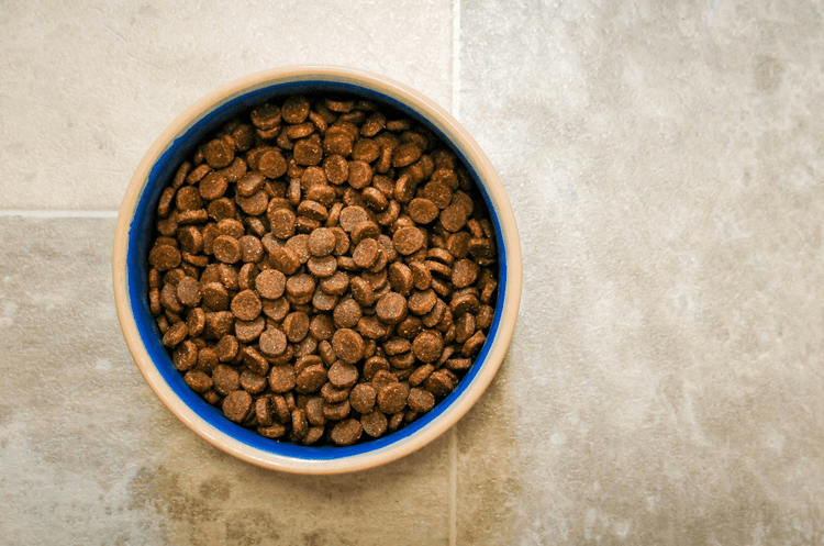 Decoding Pet Nutrition: How to Read Labels