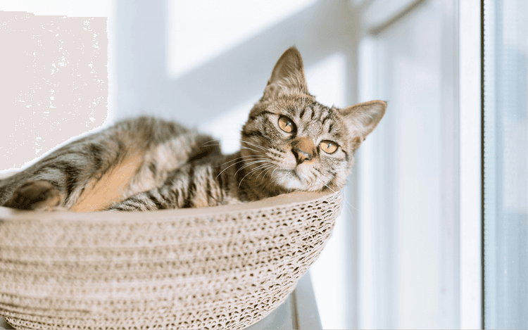 How Routine Care Impacts Long-Term Health