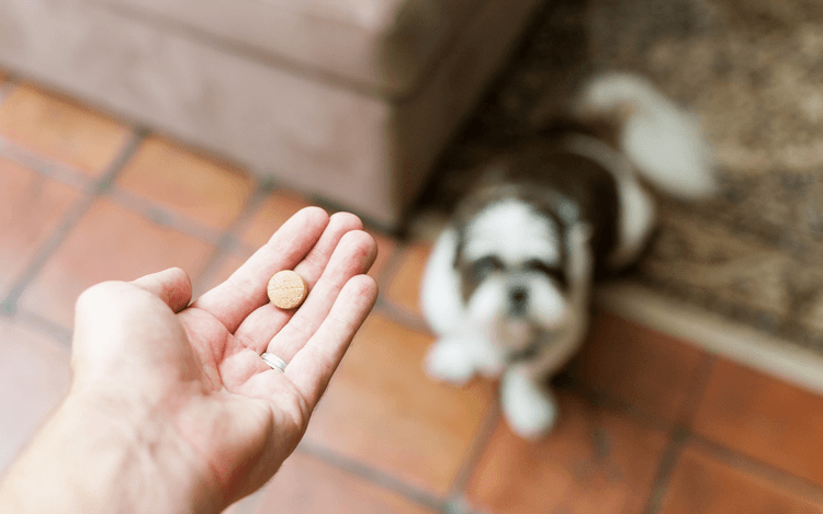 What Makes a Good Online Pharmacy