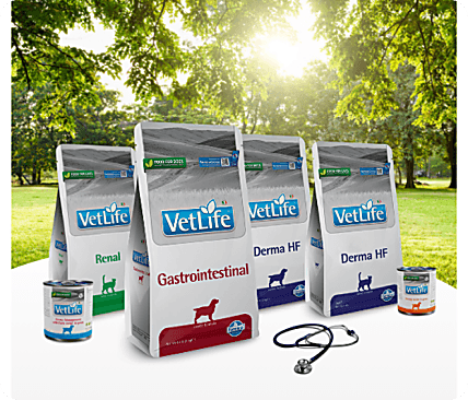 A Legacy of Passion and Expertise