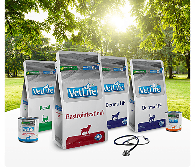 A Legacy of Passion and Expertise