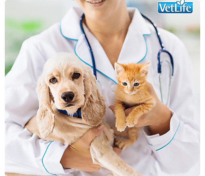 Tailored Nutrition and Expert Guidance