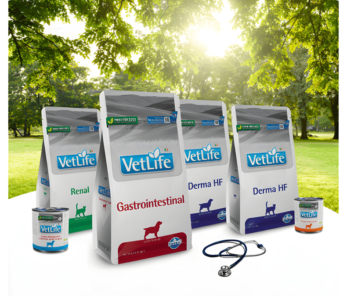 A Legacy of Passion and Expertise