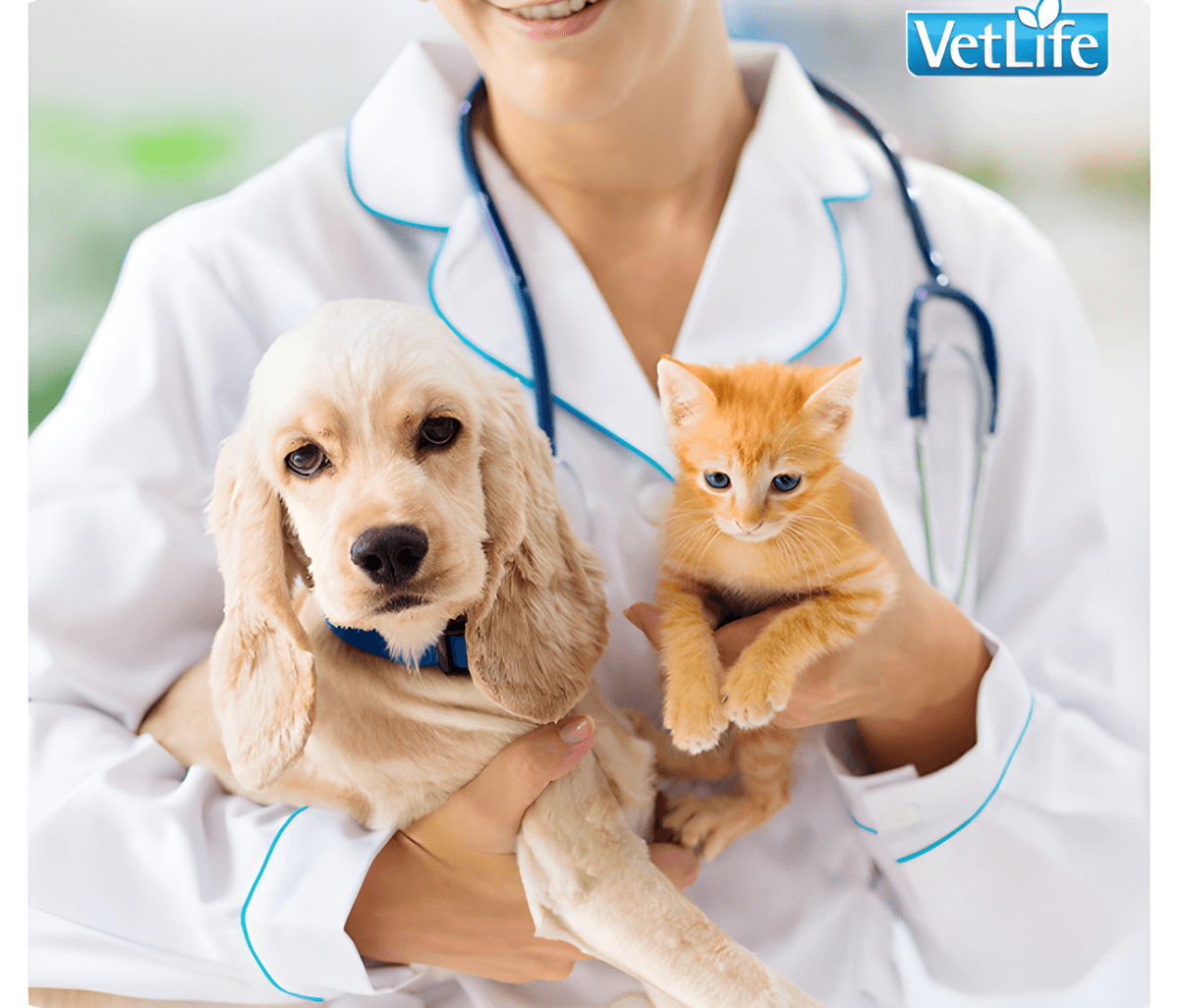 Tailored Nutrition and Expert Guidance