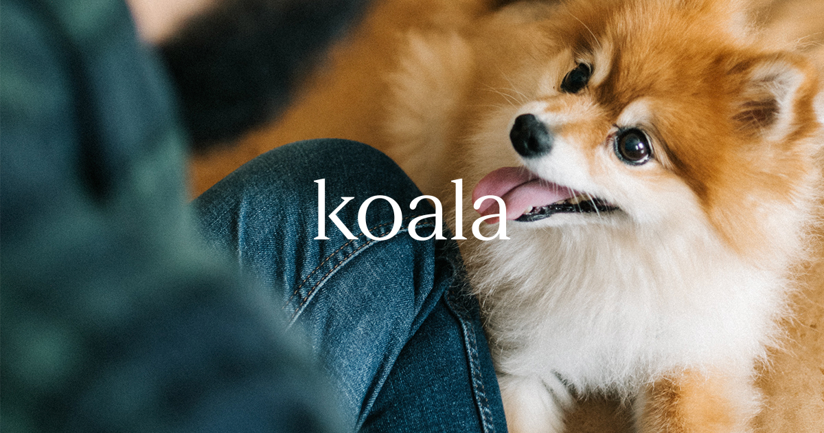Koala Health logo